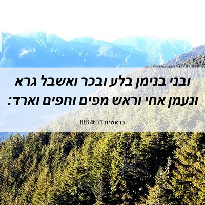 Picture 06 - בראשית 46:21 HEB - ובני בנימן בלע ובכר ואשבל - Bible Verse Picture