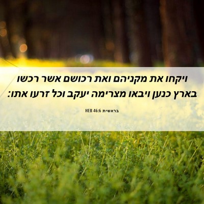 Picture 06 - בראשית 46:6 HEB - ויקחו את מקניהם ואת רכושם - Bible Verse Picture