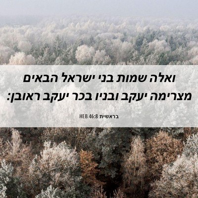 Picture 06 - בראשית 46:8 HEB - ואלה שמות בני ישראל הבאים - Bible Verse Picture