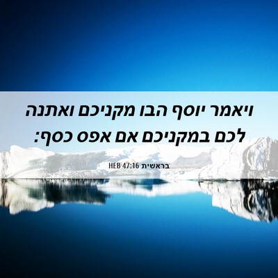 Picture 06 - בראשית 47:16 HEB - ויאמר יוסף הבו מקניכם - Bible Verse Picture