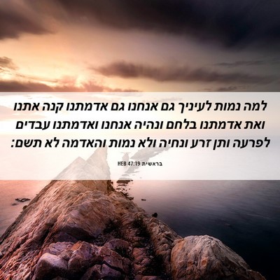 Picture 06 - בראשית 47:19 HEB - למה נמות לעיניך גם אנחנו גם - Bible Verse Picture