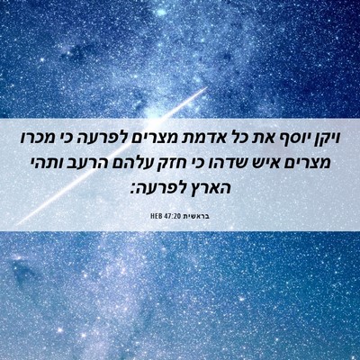 Picture 06 - בראשית 47:20 HEB - ויקן יוסף את כל אדמת מצרים - Bible Verse Picture