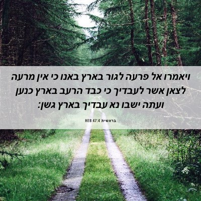 Picture 06 - בראשית 47:4 HEB - ויאמרו אל פרעה לגור בארץ - Bible Verse Picture