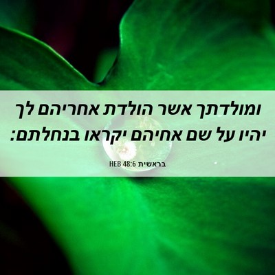 Picture 06 - בראשית 48:6 HEB - ומולדתך אשר הולדת אחריהם - Bible Verse Picture