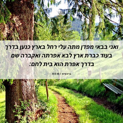 Picture 06 - בראשית 48:7 HEB - ואני בבאי מפדן מתה עלי רחל - Bible Verse Picture