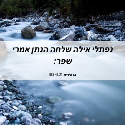 Picture 06 - בראשית 49:21 HEB - נפתלי אילה שלחה הנתן אמרי - Bible Verse Picture