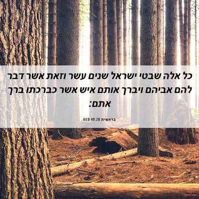 Picture 06 - בראשית 49:28 HEB - כל אלה שבטי ישראל שנים עשר - Bible Verse Picture