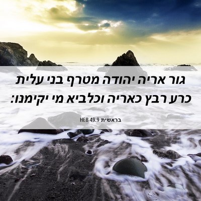 Picture 06 - בראשית 49:9 HEB - גור אריה יהודה מטרף בני - Bible Verse Picture