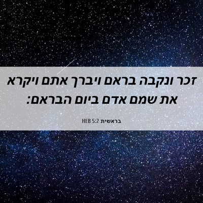Picture 06 - בראשית 5:2 HEB - זכר ונקבה בראם ויברך אתם - Bible Verse Picture