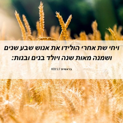 Picture 06 - בראשית 5:7 HEB - ויחי שת אחרי הולידו את אנוש - Bible Verse Picture