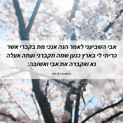 Picture 06 - בראשית 50:5 HEB - אבי השביעני לאמר הנה אנכי - Bible Verse Picture