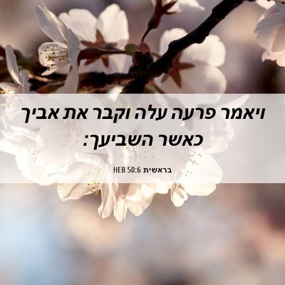 Picture 06 - בראשית 50:6 HEB - ויאמר פרעה עלה וקבר את אביך - Bible Verse Picture
