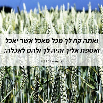 Picture 06 - בראשית 6:21 HEB - ואתה קח לך מכל מאכל אשר - Bible Verse Picture