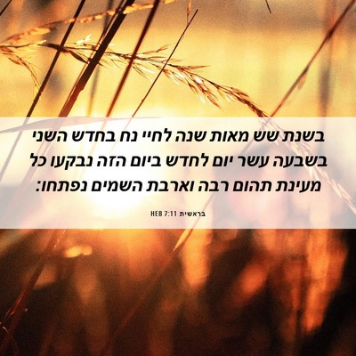 Picture 06 - בראשית 7:11 HEB - בשנת שש מאות שנה לחיי נח - Bible Verse Picture