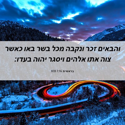 Picture 06 - בראשית 7:16 HEB - והבאים זכר ונקבה מכל בשר - Bible Verse Picture