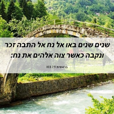 Picture 06 - בראשית 7:9 HEB - שנים שנים באו אל נח אל התבה - Bible Verse Picture