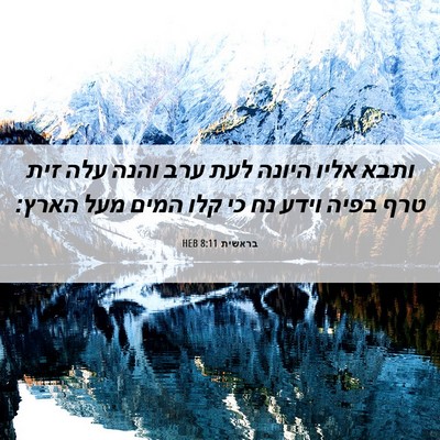 Picture 06 - בראשית 8:11 HEB - ותבא אליו היונה לעת ערב - Bible Verse Picture