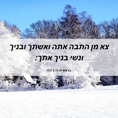 Picture 06 - בראשית 8:16 HEB - צא מן התבה אתה ואשתך ובניך - Bible Verse Picture