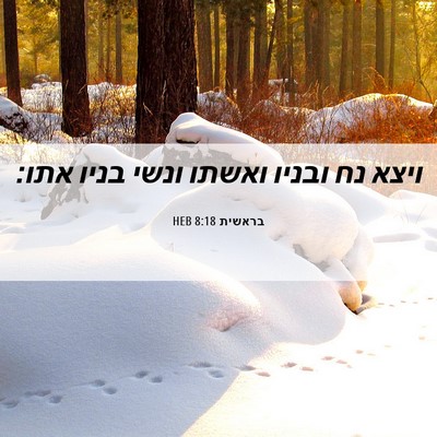 Picture 06 - בראשית 8:18 HEB - ויצא נח ובניו ואשתו ונשי - Bible Verse Picture