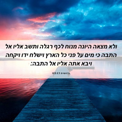 Picture 06 - בראשית 8:9 HEB - ולא מצאה היונה מנוח לכף - Bible Verse Picture