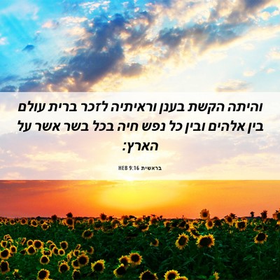 Picture 06 - בראשית 9:16 HEB - והיתה הקשת בענן וראיתיה - Bible Verse Picture