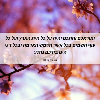 Picture 06 - בראשית 9:2 HEB - ומוראכם וחתכם יהיה על כל - Bible Verse Picture