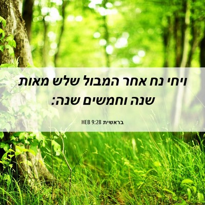Picture 06 - בראשית 9:28 HEB - ויחי נח אחר המבול שלש מאות - Bible Verse Picture