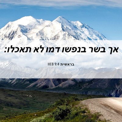 Picture 06 - בראשית 9:4 HEB - אך בשר בנפשו דמו לא - Bible Verse Picture