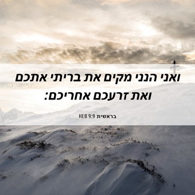 Picture 06 - בראשית 9:9 HEB - ואני הנני מקים את בריתי - Bible Verse Picture