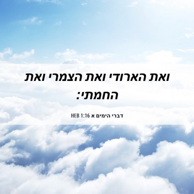Picture 06 - דברי הימים א 1:16 HEB - ואת הארודי ואת הצמרי ואת - Bible Verse Picture