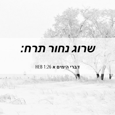 Picture 06 - דברי הימים א 1:26 HEB - שרוג נחור - Bible Verse Picture