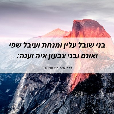 Picture 06 - דברי הימים א 1:40 HEB - בני שובל עלין ומנחת ועיבל - Bible Verse Picture