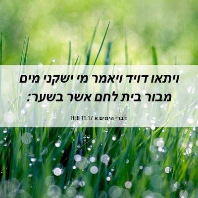 Picture 06 - דברי הימים א 11:17 HEB - ויתאו דויד ויאמר מי ישקני - Bible Verse Picture