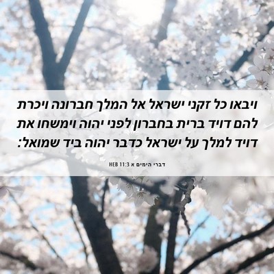 Picture 06 - דברי הימים א 11:3 HEB - ויבאו כל זקני ישראל אל המלך - Bible Verse Picture