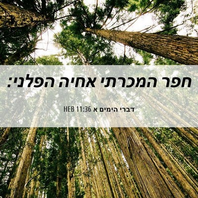 Picture 06 - דברי הימים א 11:36 HEB - חפר המכרתי אחיה - Bible Verse Picture