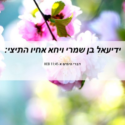Picture 06 - דברי הימים א 11:45 HEB - ידיעאל בן שמרי ויחא אחיו - Bible Verse Picture