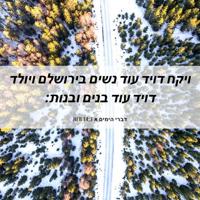 Picture 06 - דברי הימים א 14:3 HEB - ויקח דויד עוד נשים בירושלם - Bible Verse Picture