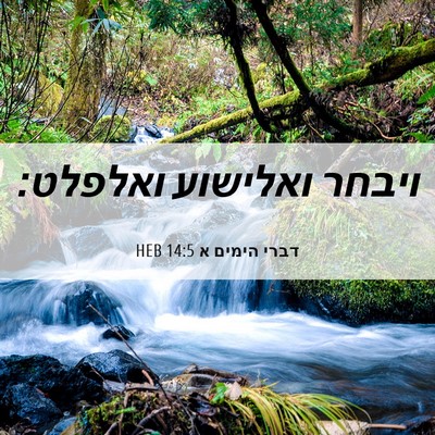 Picture 06 - דברי הימים א 14:5 HEB - ויבחר ואלישוע - Bible Verse Picture
