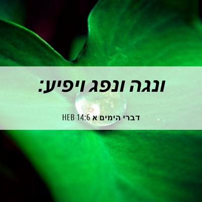 Picture 06 - דברי הימים א 14:6 HEB - ונגה ונפג - Bible Verse Picture