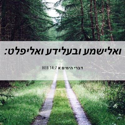 Picture 06 - דברי הימים א 14:7 HEB - ואלישמע ובעלידע - Bible Verse Picture