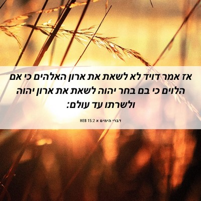 Picture 06 - דברי הימים א 15:2 HEB - אז אמר דויד לא לשאת את ארון - Bible Verse Picture