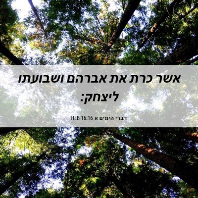 Picture 06 - דברי הימים א 16:16 HEB - אשר כרת את אברהם ושבועתו - Bible Verse Picture