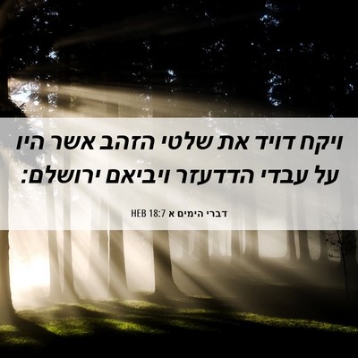 Picture 06 - דברי הימים א 18:7 HEB - ויקח דויד את שלטי הזהב אשר - Bible Verse Picture