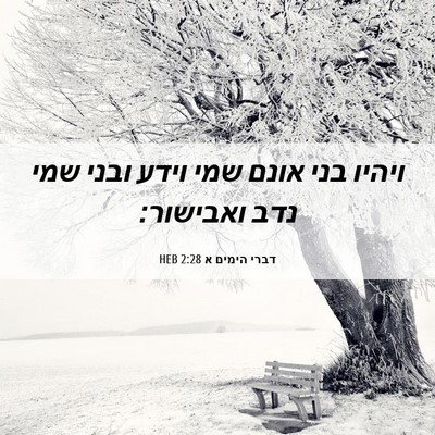 Picture 06 - דברי הימים א 2:28 HEB - ויהיו בני אונם שמי וידע - Bible Verse Picture