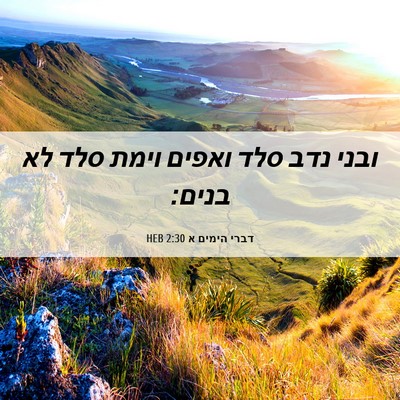 Picture 06 - דברי הימים א 2:30 HEB - ובני נדב סלד ואפים וימת סלד - Bible Verse Picture