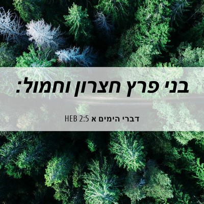 Picture 06 - דברי הימים א 2:5 HEB - בני פרץ חצרון - Bible Verse Picture