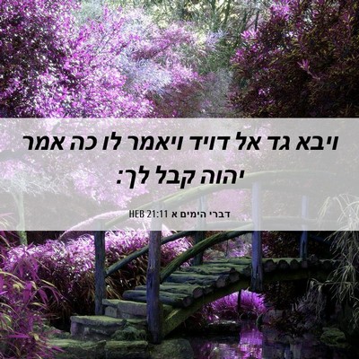 Picture 06 - דברי הימים א 21:11 HEB - ויבא גד אל דויד ויאמר לו כה - Bible Verse Picture