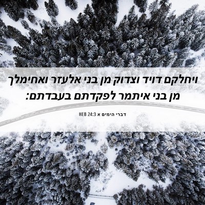 Picture 06 - דברי הימים א 24:3 HEB - ויחלקם דויד וצדוק מן בני - Bible Verse Picture