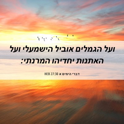 Picture 06 - דברי הימים א 27:30 HEB - ועל הגמלים אוביל הישמעלי - Bible Verse Picture