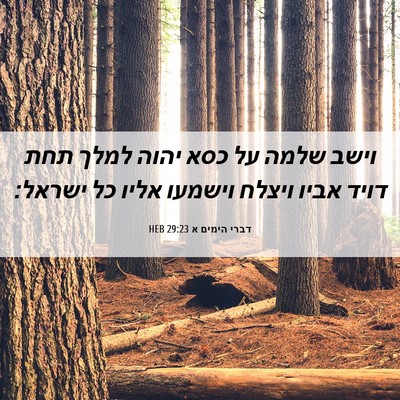 Picture 06 - דברי הימים א 29:23 HEB - וישב שלמה על כסא יהוה למלך - Bible Verse Picture